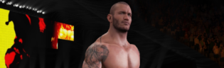 Take-Two Interactive loses Randy Orton tattoo artist lawsuit