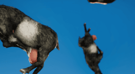 Goat Simulator 3 Review – Goofy, goaty goodness