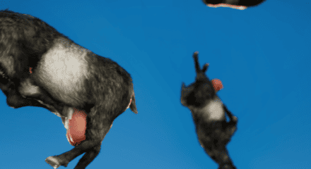 New Goat Simulator 3 trailer leads to Rockstar DMCA takedown for using leaked GTA 6 footage